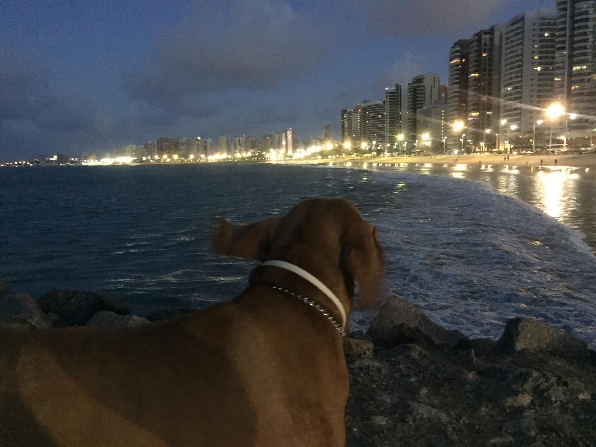 Apartamento Na Melhor Localizacao De Fortaleza!! Exteriér fotografie